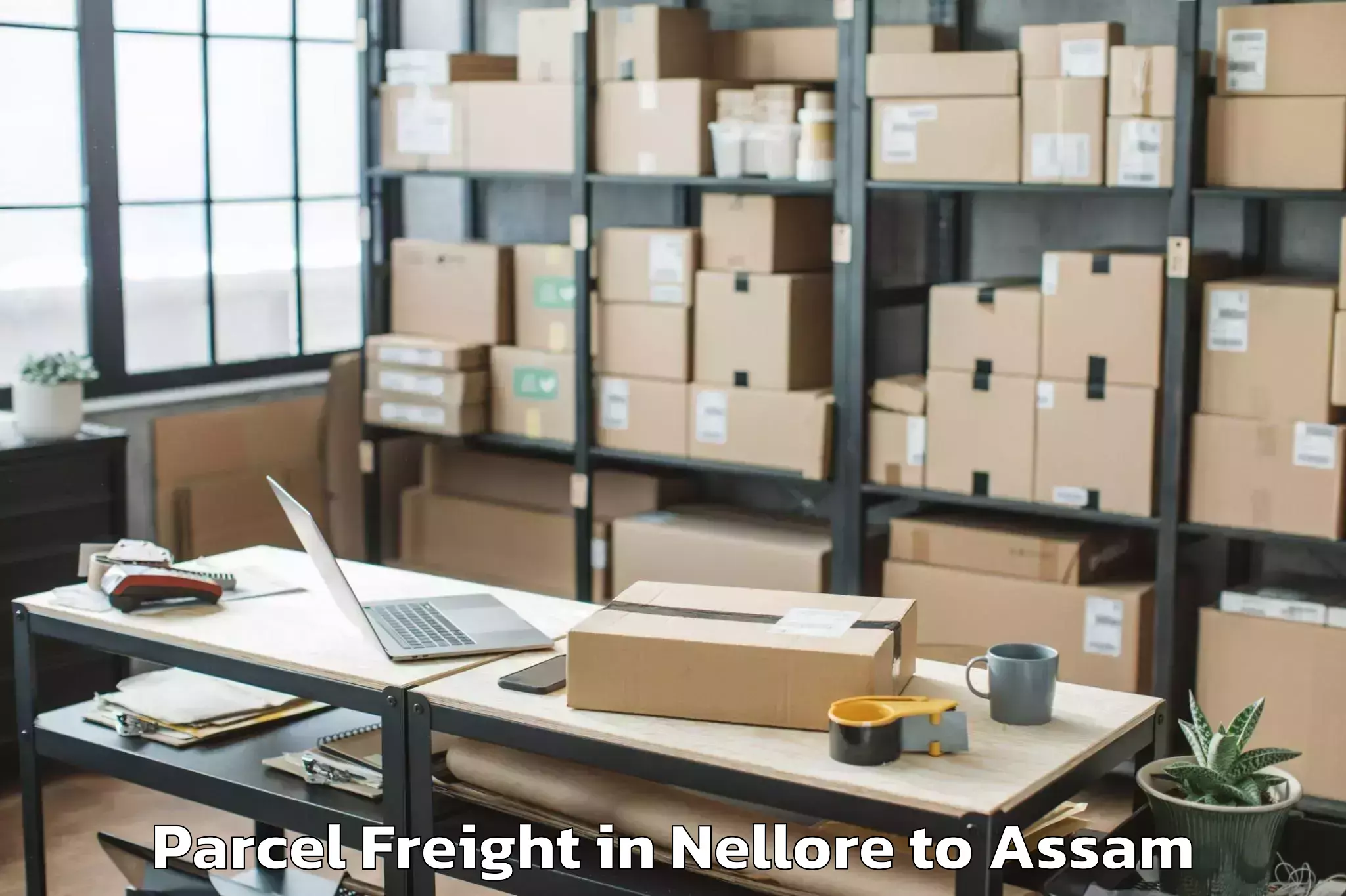 Quality Nellore to Golokganj Pt Parcel Freight